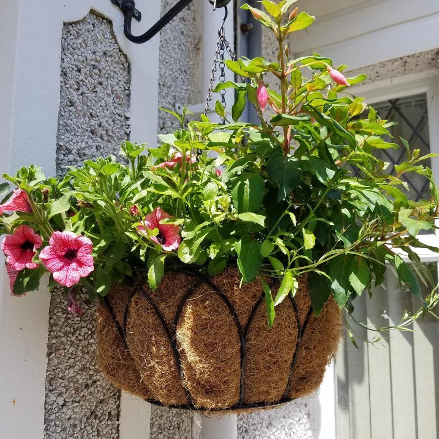 Bugle Eden'S Rest Bed And Breakfast מראה חיצוני תמונה