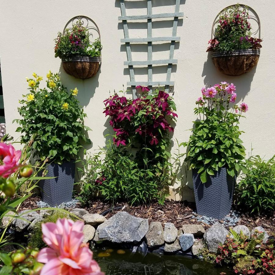 Bugle Eden'S Rest Bed And Breakfast מראה חיצוני תמונה